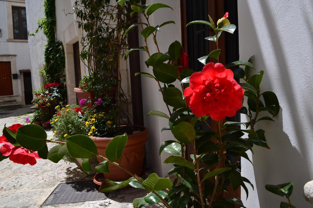 푸티냐노 Santo Stefano B&B 외부 사진